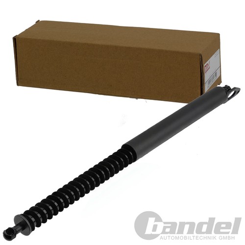 Nty gasfeder heckklappe - gasfeder,