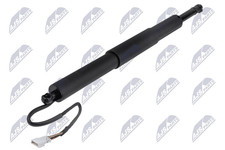 Gasfeder Koffer Laderaum