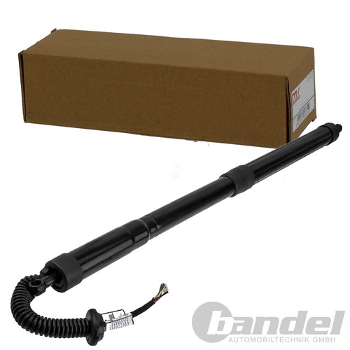 Nty gasfeder heckklappe - nty,