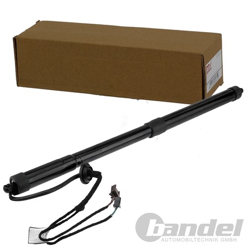 Nty gasfeder heckklappe - gasfeder,